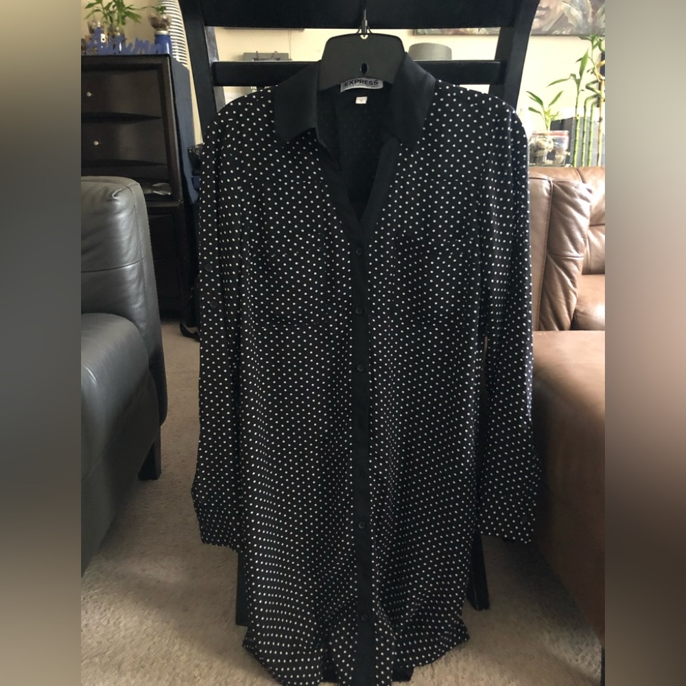 Express polkadot shirt dress